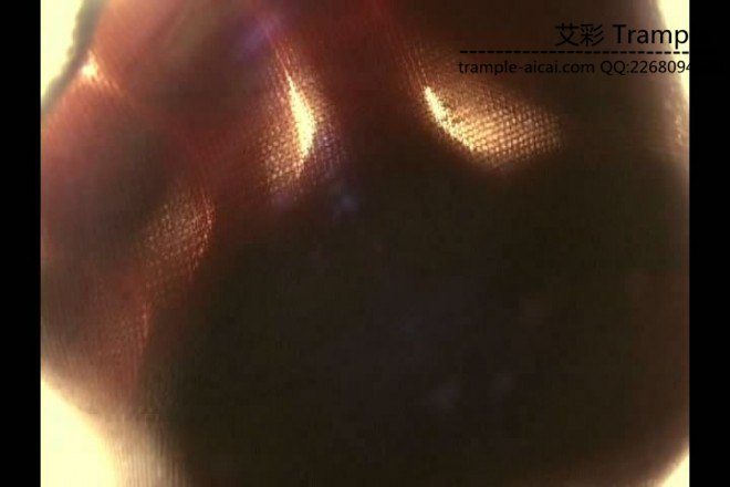 112444l8bns8qszbalaeve.jpg 112444l8bns8qszbalaeve.jpg