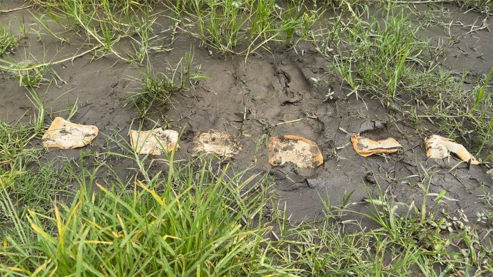 121046pz5kv51a03g08i11.jpg 121046pz5kv51a03g08i11.jpg