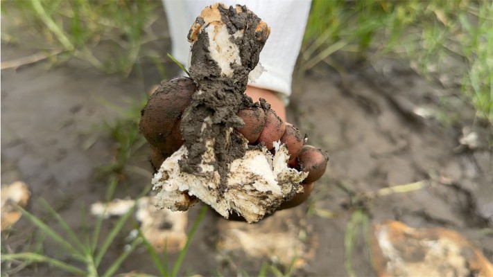 121044m9hpjvfpb49e9fr2.jpg 121044m9hpjvfpb49e9fr2.jpg